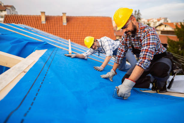 Best Rubber Roofing (EPDM, TPO)  in Ellitt, CO