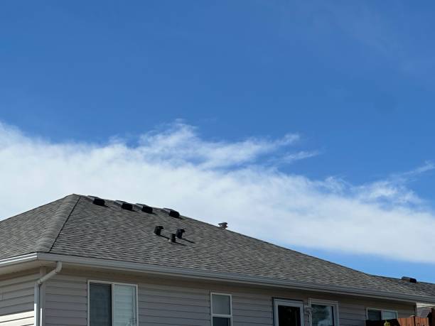 Best Roof Maintenance and Cleaning  in Ellitt, CO